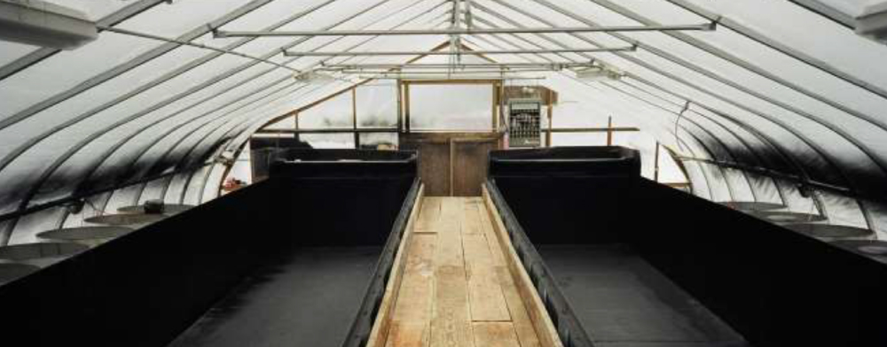 鯉池の施工写真例